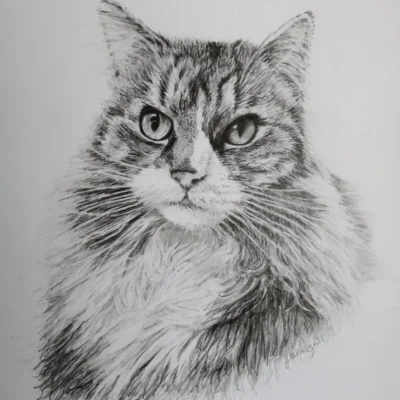 Pet portrait