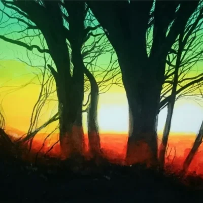 Abstract Sunset Through the Trees