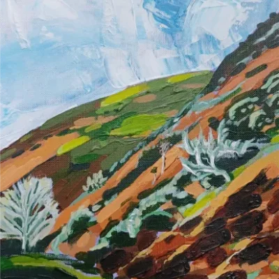 Carding Mill Valley Shropshire in Winter